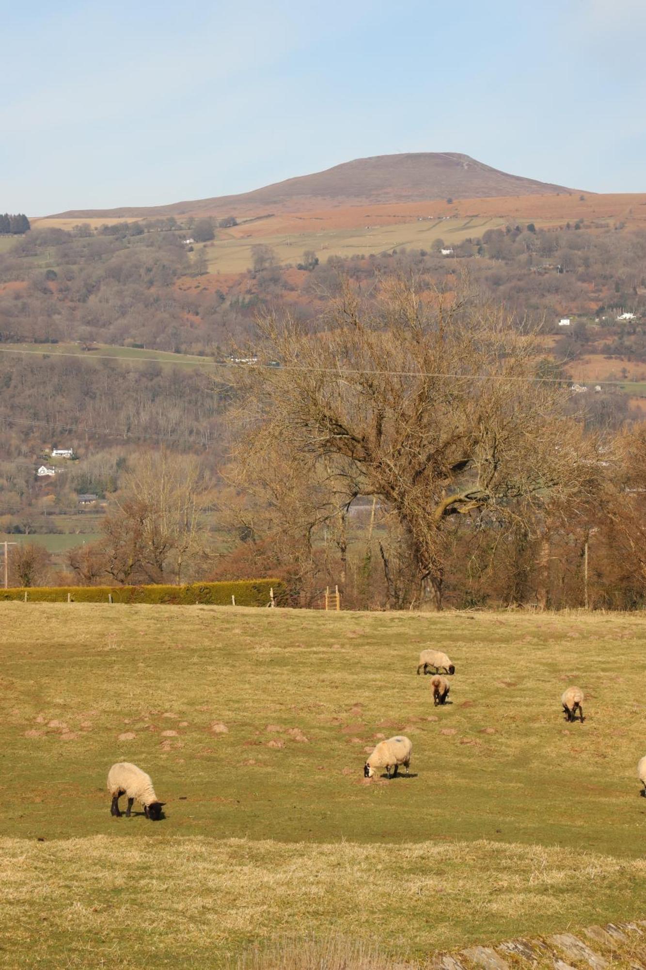 Cowshed In The Black Mountains Abergavenny Exterior foto